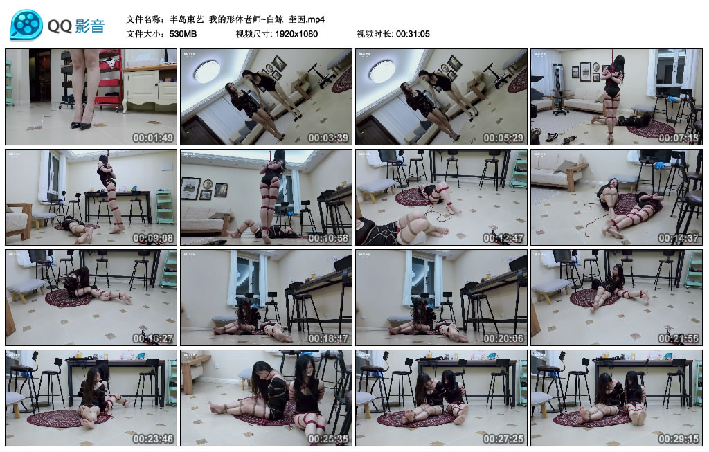 【半岛束艺】 我的形体老师~白鲸  奎因-缚绑绳艺