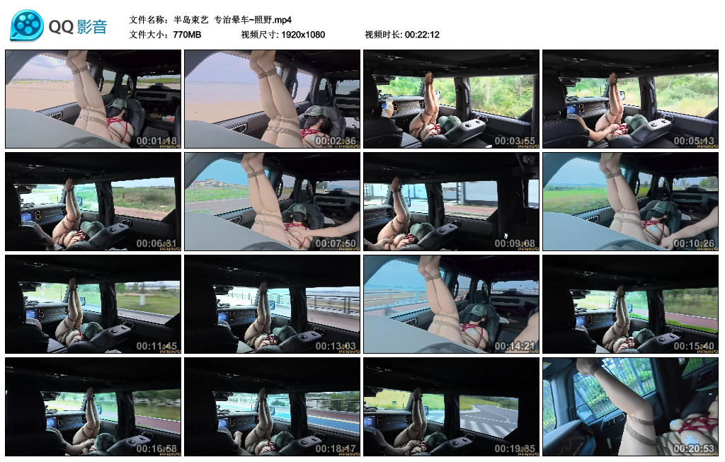 【半岛束艺】 专治晕车~照野-缚绑绳艺