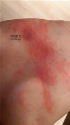 【九月】强制舔脏鞋底/长靴黑丝踩踏 bf48675  第8张