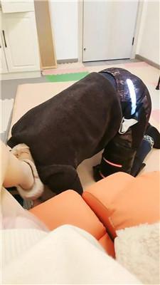 【于少奶奶】物化人形犬初体验【上】 JS241225-11  第3张