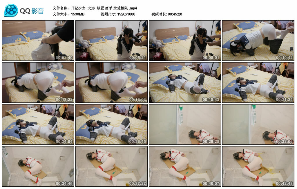 【日记少女】犬形 放置 鹰手 承受极限-缚乐绳资源